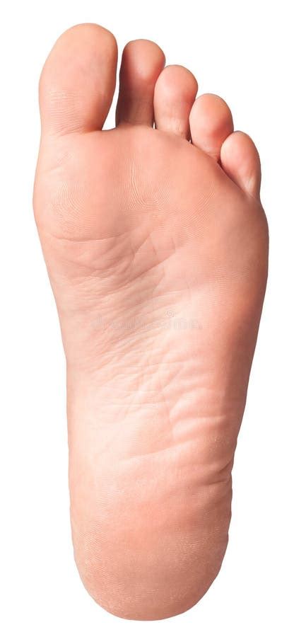 foot pics|1,303,600+ Foot Stock Photos, Pictures & Royalty.